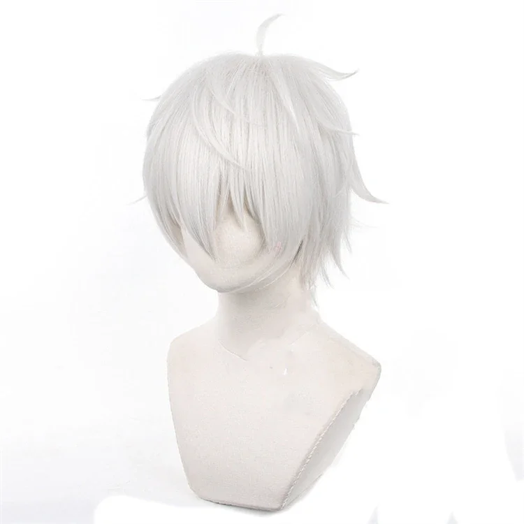 Peruca de Cosplay Anime Seishi - Cosplay Anime White Hair avaliação e preço
