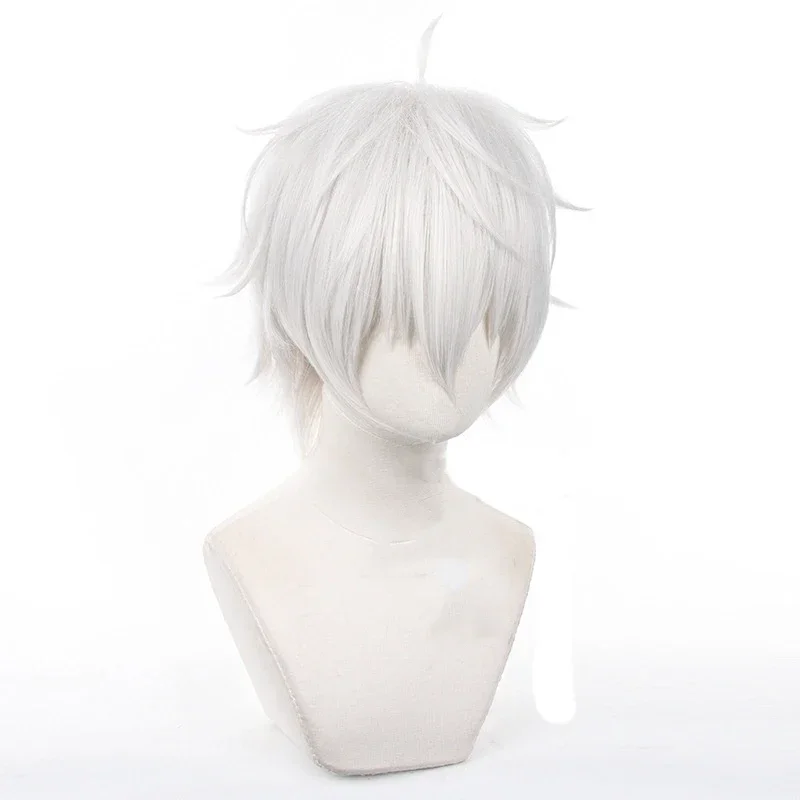 Peruca de Cosplay Anime Seishi - Cosplay Anime White Hair avaliação e preço