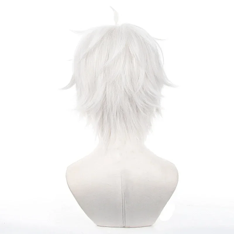 Peruca de Cosplay Anime Seishi - Cosplay Anime White Hair avaliação e preço